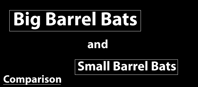 big-barrel-bat-small-barrel-bats-finder