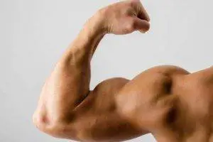 arm-strength-muscle